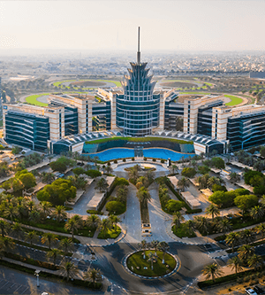 Silicon Oasis